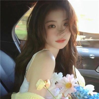 三个火枪手:达达尼昂